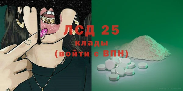 ПСИЛОЦИБИНОВЫЕ ГРИБЫ Горняк