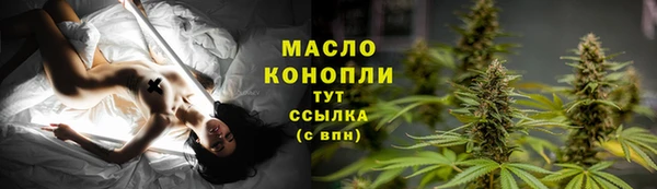 ПСИЛОЦИБИНОВЫЕ ГРИБЫ Горняк