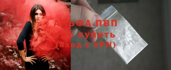 PSILOCYBIN Горнозаводск