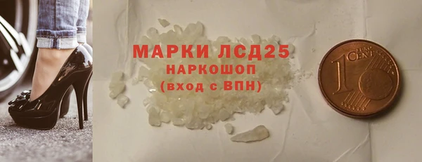 ПСИЛОЦИБИНОВЫЕ ГРИБЫ Горняк