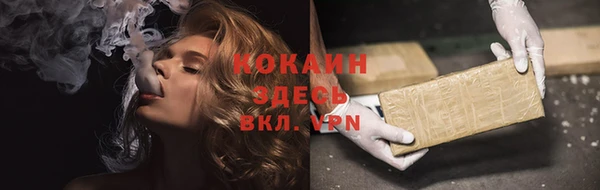 PSILOCYBIN Горнозаводск