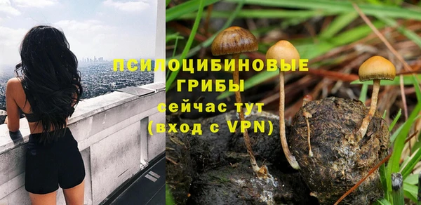 PSILOCYBIN Горнозаводск