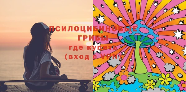 PSILOCYBIN Горнозаводск