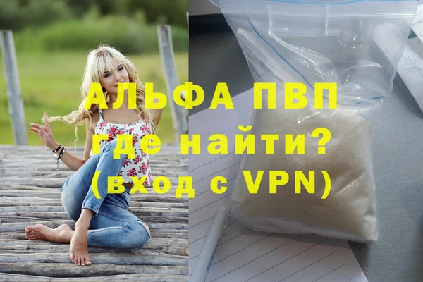 PSILOCYBIN Горнозаводск