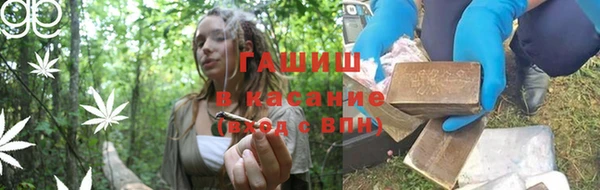 ПСИЛОЦИБИНОВЫЕ ГРИБЫ Горняк