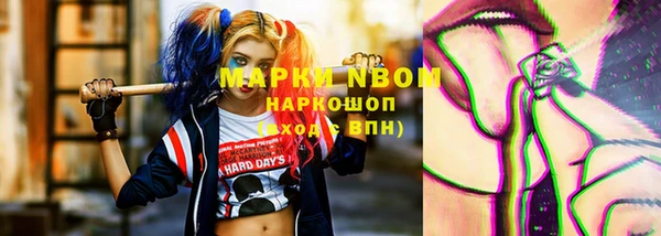 ПСИЛОЦИБИНОВЫЕ ГРИБЫ Горняк
