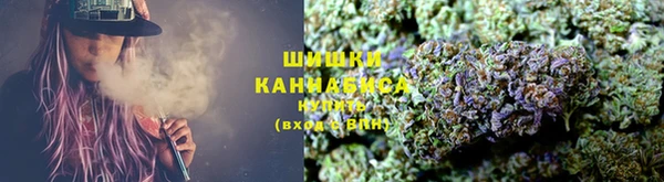 PSILOCYBIN Горнозаводск