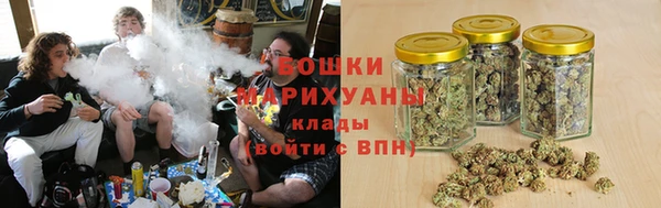 тгк Гусев