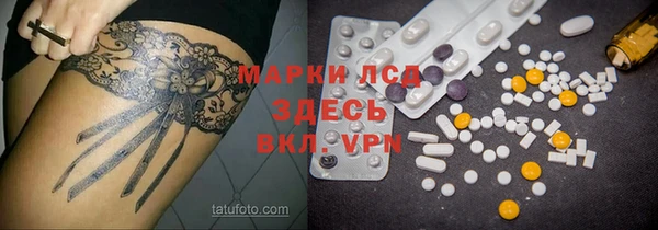 тгк Гусев
