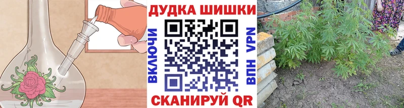 Бошки Шишки сатива  Купить  Курчатов 